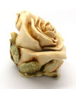 Lord Byron's Harmony Garden "Single White Rose"/Ha