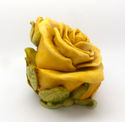 Lord Byron's Harmony Garden"Single Yellow Rose"/Ha