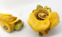 Lord Byron's Harmony Garden"Single Yellow Rose"/Ha