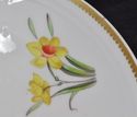 Spode Hand Painted Porcelain Flowered Round Dish P