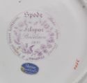 Spode Hand Painted Porcelain Flowered Round Dish P