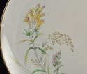 Dinner Plate(s) Rosenthal Summer Blossoms Bettina 