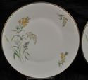 Pair of Salad Plate(s) Rosenthal Summer Blossoms B