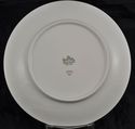 Pair of Salad Plate(s) Rosenthal Summer Blossoms B