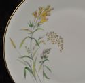 Pair of Salad Plate(s) Rosenthal Summer Blossoms B