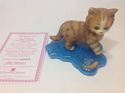 5 Jurgen Scholz Purr-fect Adventure Collection Cat