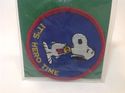 2 Vintage Snoopy Patch Ice is Nice and It's Hero T