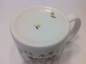 Peanuts Snoopy Ceramic Coffee Mug Beaglefest XII 1