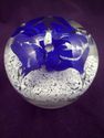 Cobalt Flower in Snow, Paperweight, Art Glass, Elo