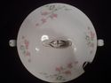 Antique Late 19th or Early 20th Century Porcelain 