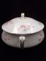 Antique Late 19th or Early 20th Century Porcelain 