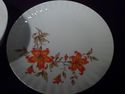 Set Of 6 Wunseidel Dinner Plates And 2 Matching Wu