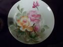 Eclectic Dinner Plate Collection, Seven Pieces, Co