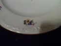 Set of Six Royal Bayreuth Dinner Plates, Floral Ga