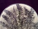 Rare Signed Edwin Walter Studio Fern Motif Art Gla