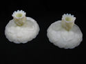 Pair of Beautiful Fenton Candleholders, Custard Gl