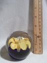 Vintage Yellow Flower Paperweight, Bubbles