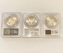 1882 O, 1885 O, 1880 S, Morgan Silver dollars PCGS