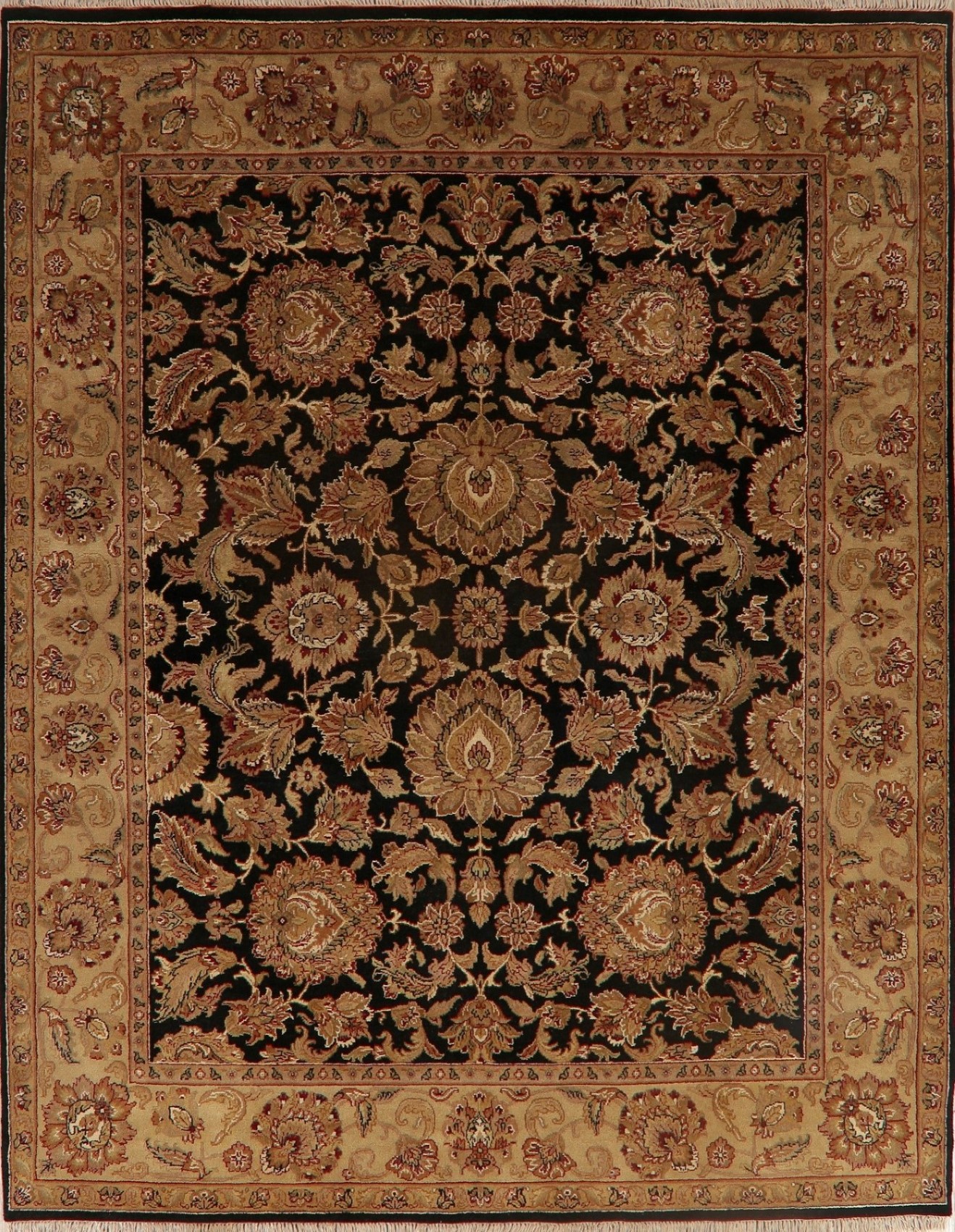 Clearance 8x10 Black Agra Floral Oriental Area Rug Wool Hand Knotted Living Room Ebay