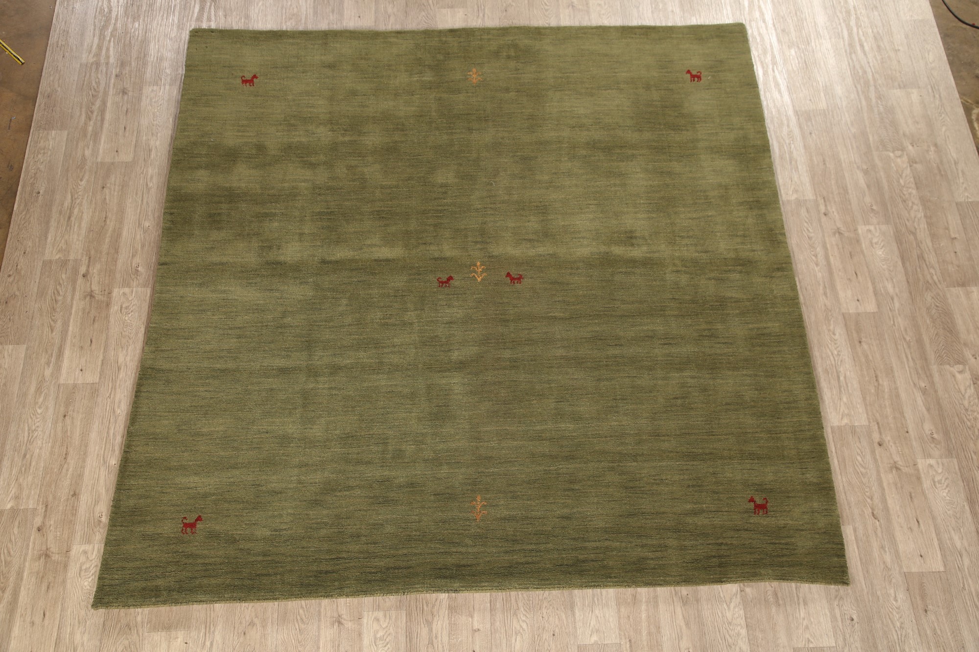 Soft Plush Green Gabbeh Modern Area Rug Hand-Knotted ...