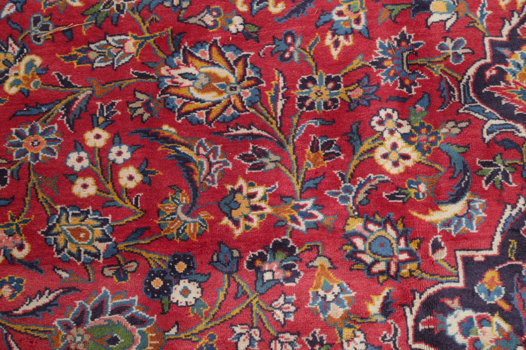 Traditional Rugs Oriental HandKnotted Medallion 9x12 Wool Area Rug RED