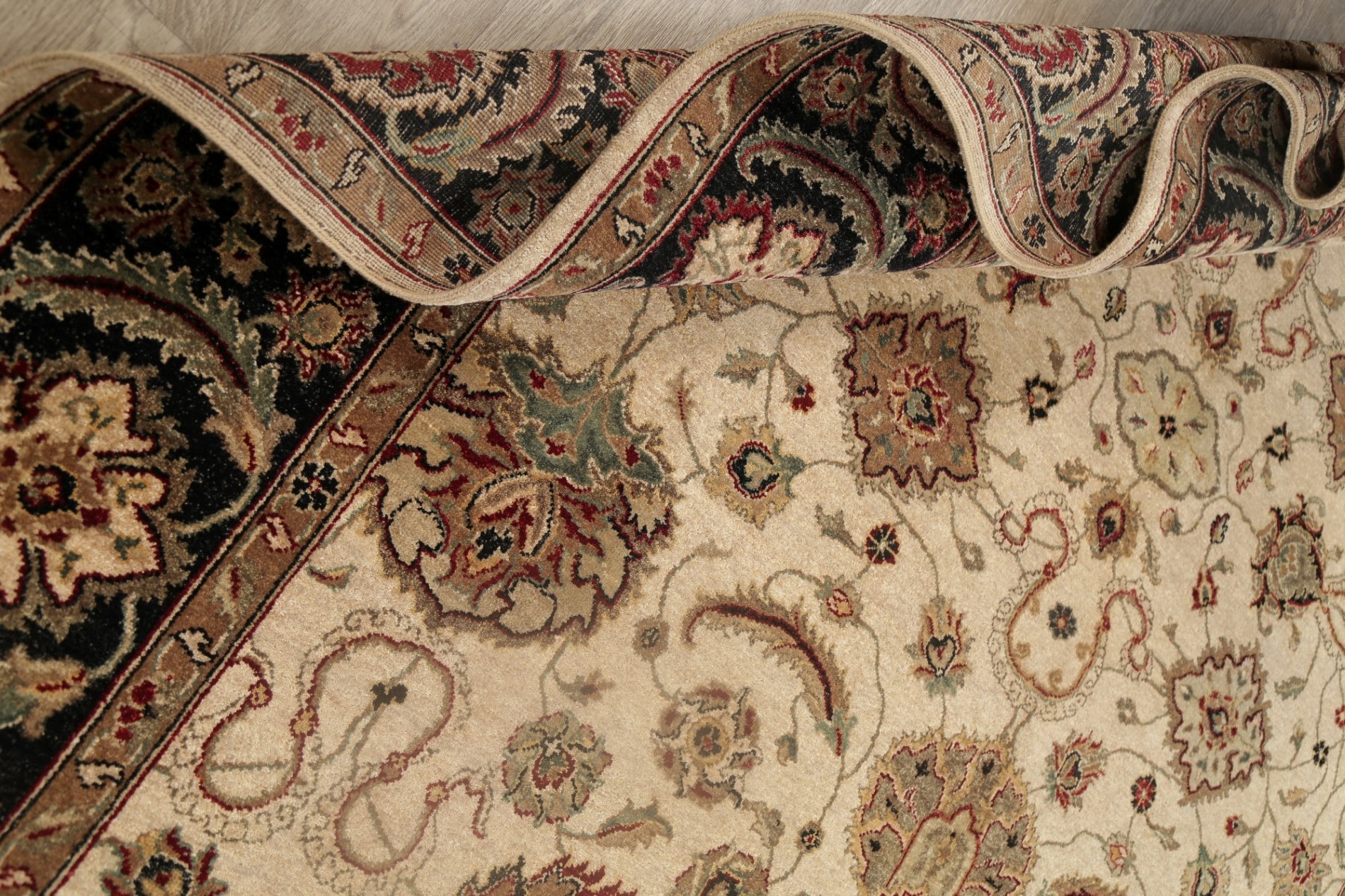 CLEARANCE 8x10 Ivory Agra Floral Oriental Area Rug Wool Living Room