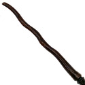 14.5" Hand Carved Mahogany Wood Directions Magic W