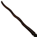 14.5" Hand Carved Mahogany Wood Directions Magic W