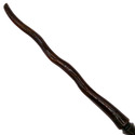 14.5" Hand Carved Mahogany Wood Directions Magic W