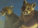 F10593E: Framed Oil Painting on Canvas Three Lions