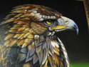F10622E: Framed Oil Painting on Canvas Eagle