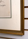 F39730: Decorative Floral Framed Print Or Irish In