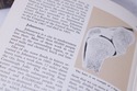 F71946: Set of Illustrated C.1959 Encyclopedia Of 
