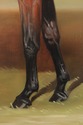 F72636: BERNARD DE CLAVIERE Oil On Canvas Horse In