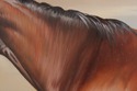 F72636: BERNARD DE CLAVIERE Oil On Canvas Horse In