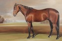 F72636: BERNARD DE CLAVIERE Oil On Canvas Horse In