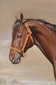 F72636: BERNARD DE CLAVIERE Oil On Canvas Horse In