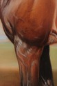 F72636: BERNARD DE CLAVIERE Oil On Canvas Horse In