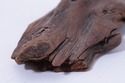 F72715: WILLIAM PORTERFIELD Carved Wood Canadian G