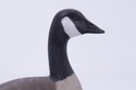 F72715: WILLIAM PORTERFIELD Carved Wood Canadian G