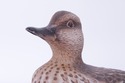 F72718: Pair MA HAI FENG Duck Bookends