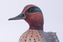 F72718: Pair MA HAI FENG Duck Bookends