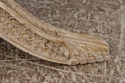 L73120: WILLIAM SWITZER Georgian Style Carved X Fo