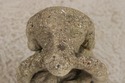 F73534: Vintage Weathered Concrete Garden Dog Stat