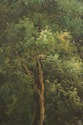 F73679: Large Hand Painted Oil Painting on Canvas 