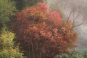 F73679: Large Hand Painted Oil Painting on Canvas 