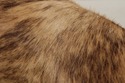 L73988: THEODORE ALEXANDER Antler Chair w. Animal 