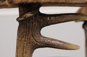 L73988: THEODORE ALEXANDER Antler Chair w. Animal 