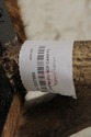 L73988: THEODORE ALEXANDER Antler Chair w. Animal 