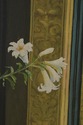 F74432: Large Framed Oil Painting On Canvas - Woma